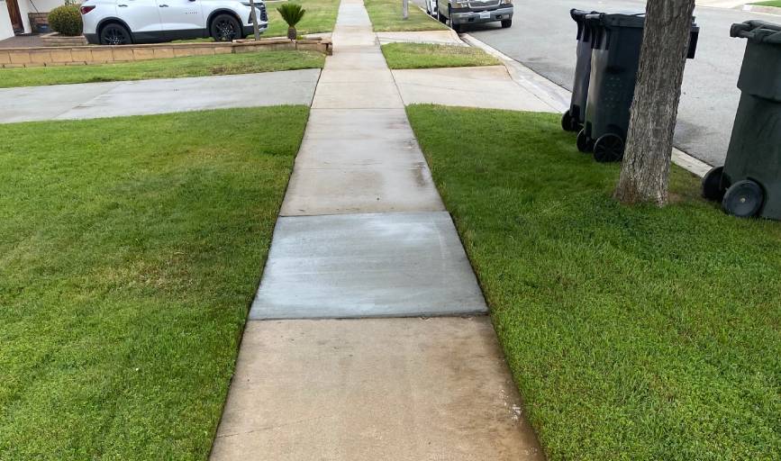 Walkway Cleaning